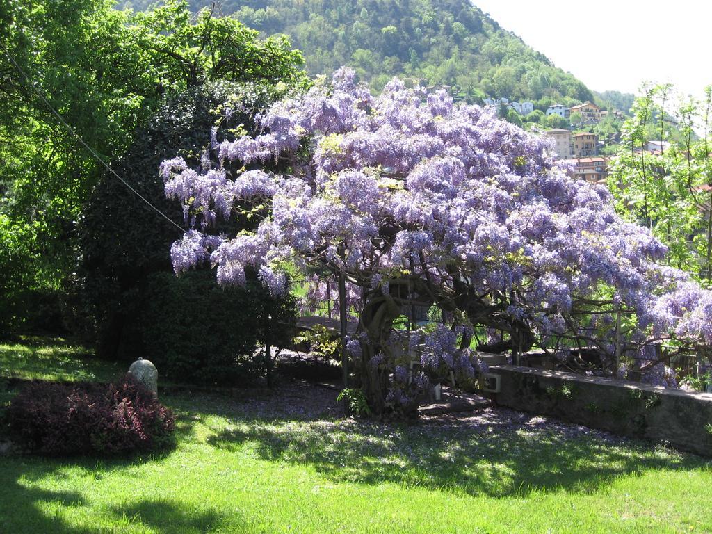 Casa Gibiseo Appartement Bellano Buitenkant foto